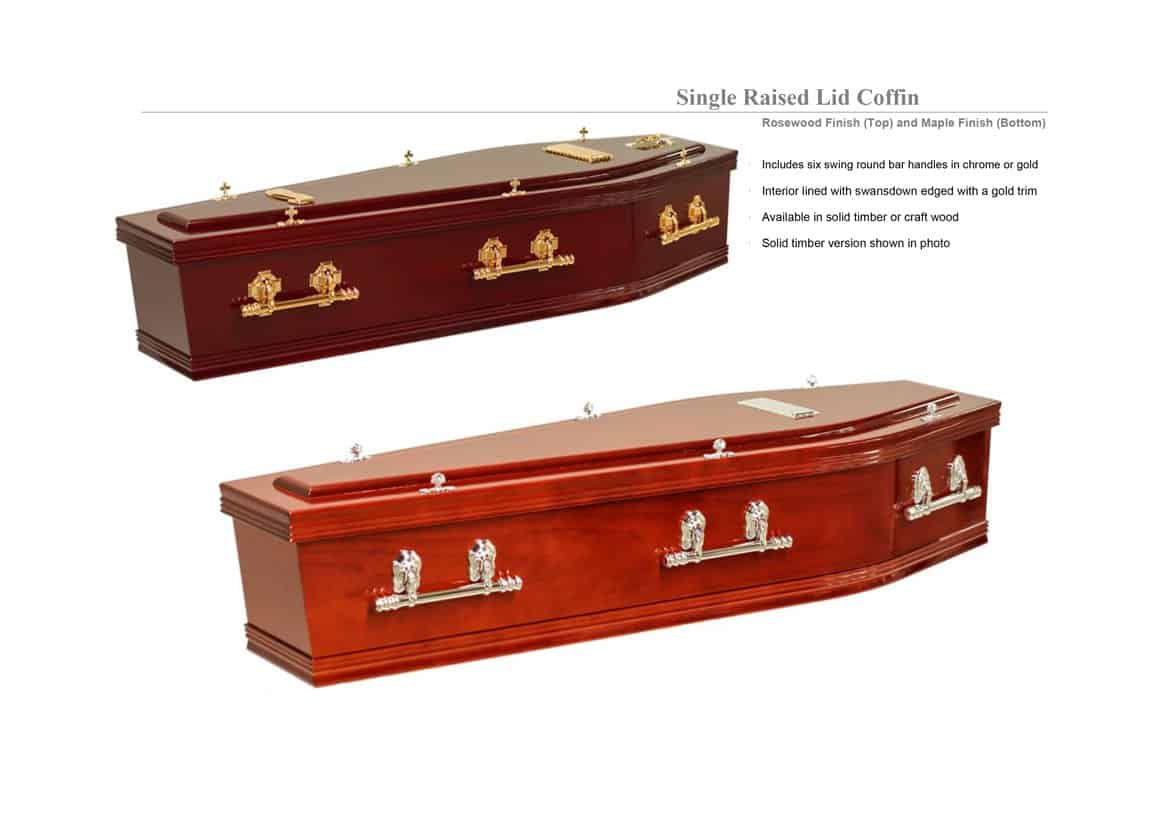 Description of Single Raised Lid Coffin